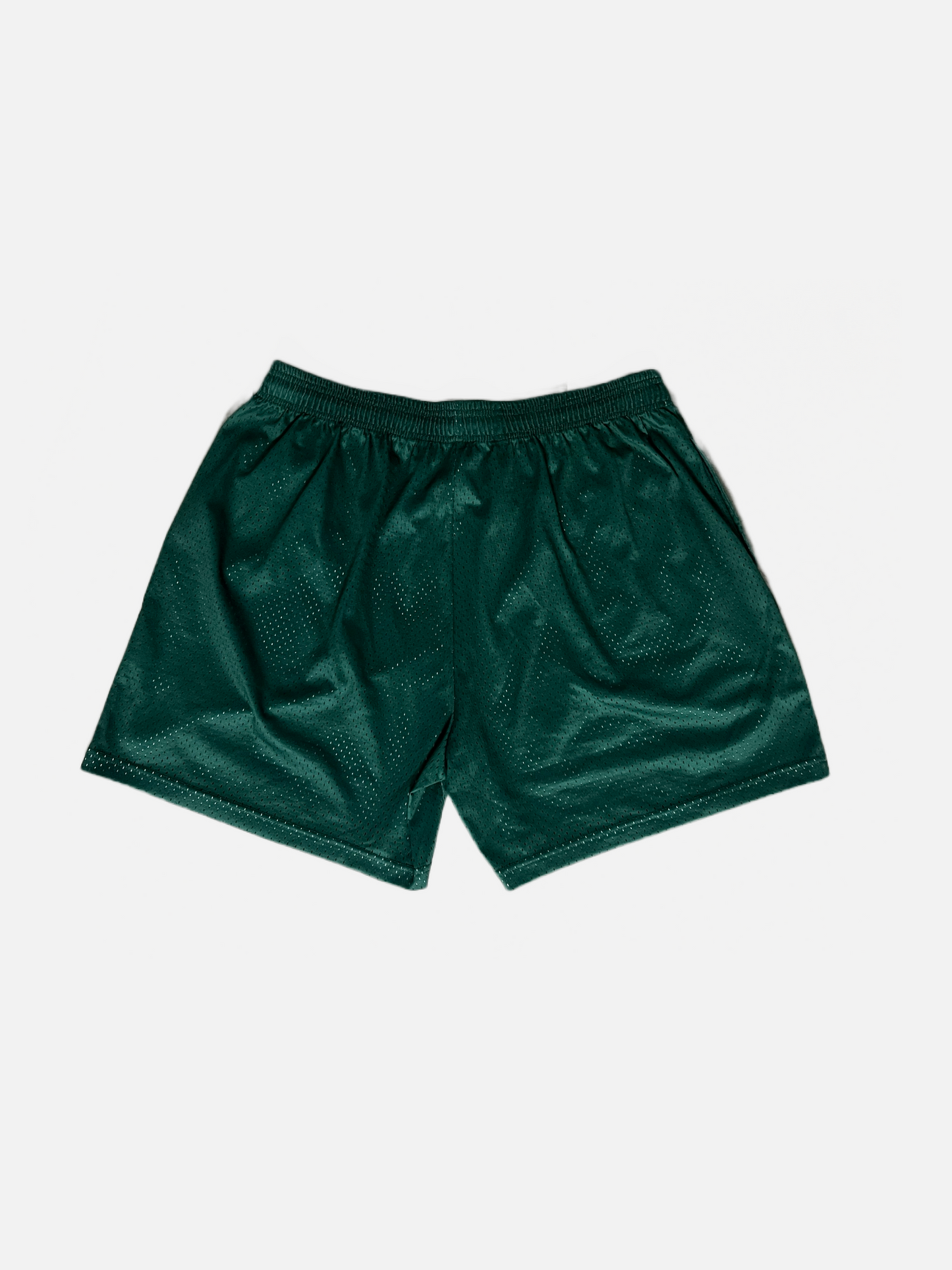 CLASSIC MESH SHORTS